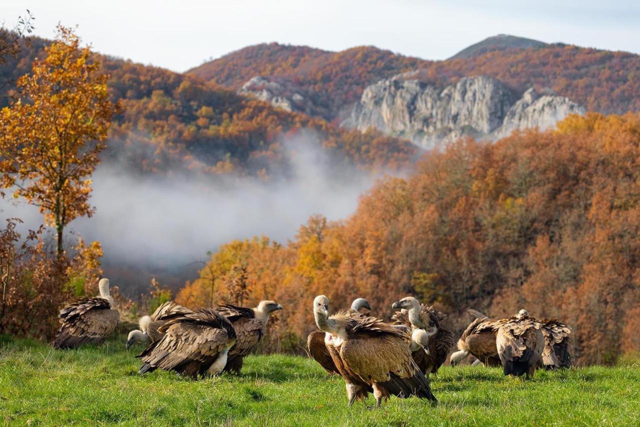 Hotel Rural El Sabinar Cremenes Екстер'єр фото